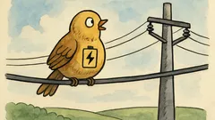 Vtip: Víte, proč ptáčci sedí na drátech?