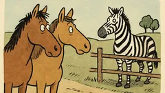 Vtip: Jdou dva koně, uvidí zebru